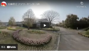 VR-flower