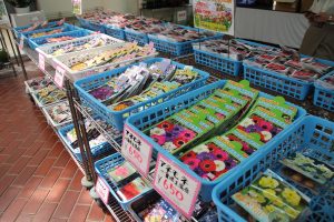 秋植球根特売会