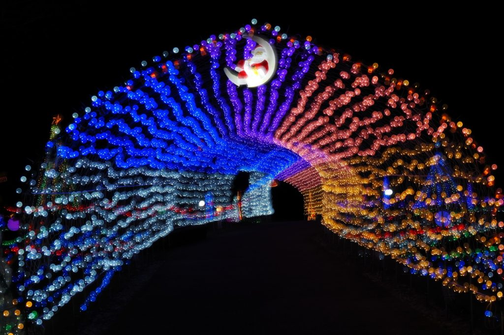 花と光のクリスマス