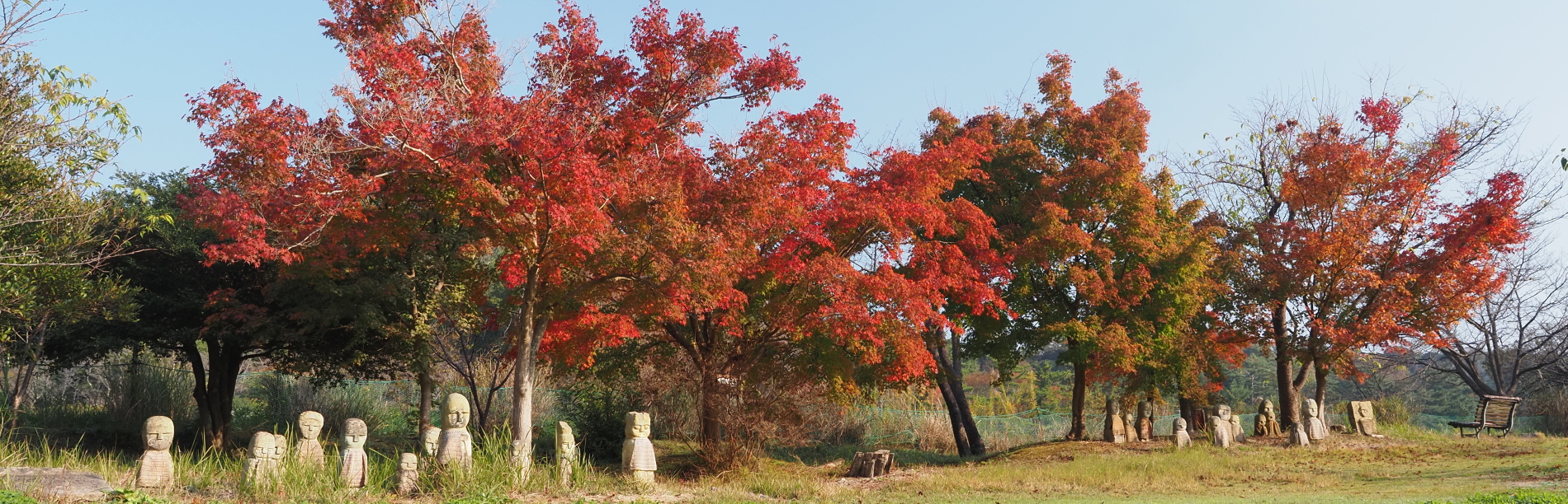 紅葉