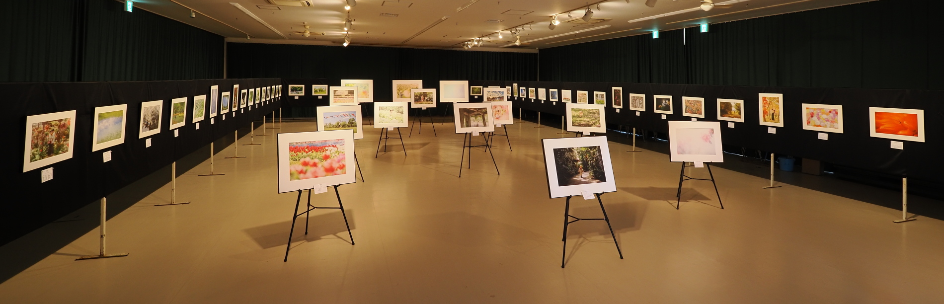 みんなの写真展