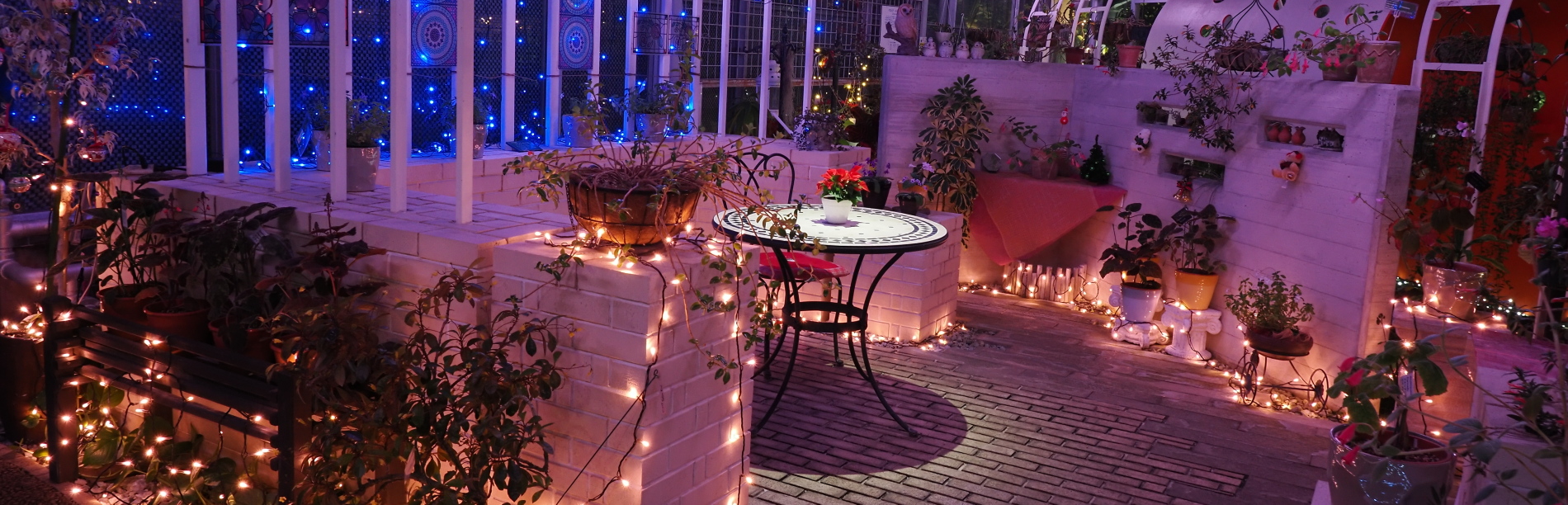 ドウダンツツジ