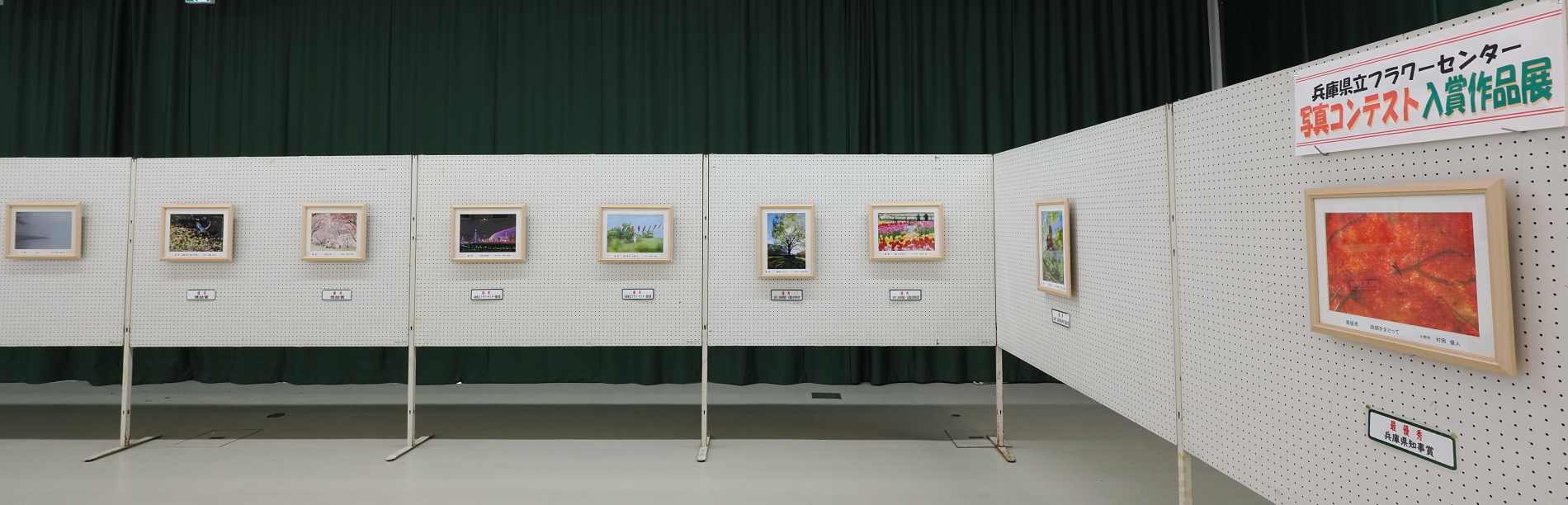 写真コンテスト入賞作品展