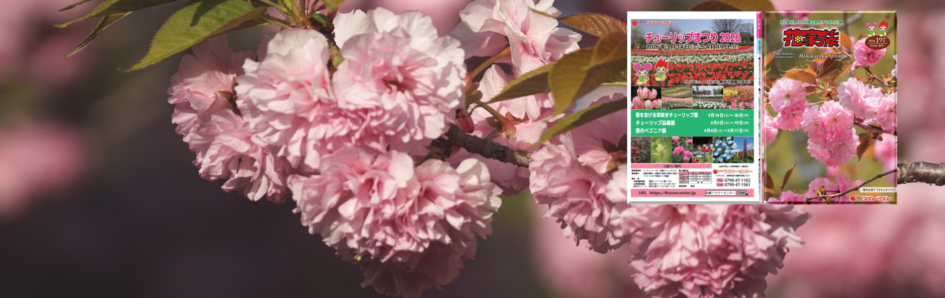 花家族の会　会誌ダウンロード
