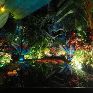 大温室　熱帯植物室